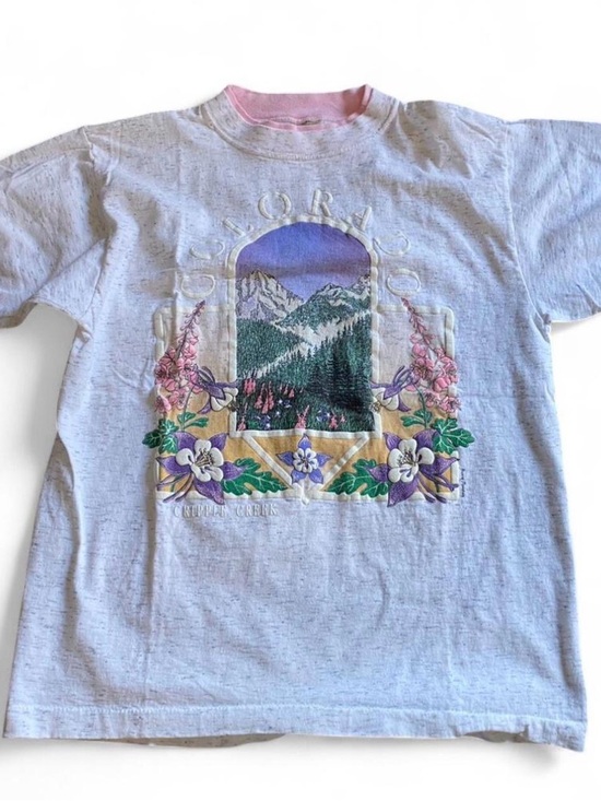 Free People Tops - We The Free White Heather Tee with Pink Trim and Multicolor Mountain Graphic
